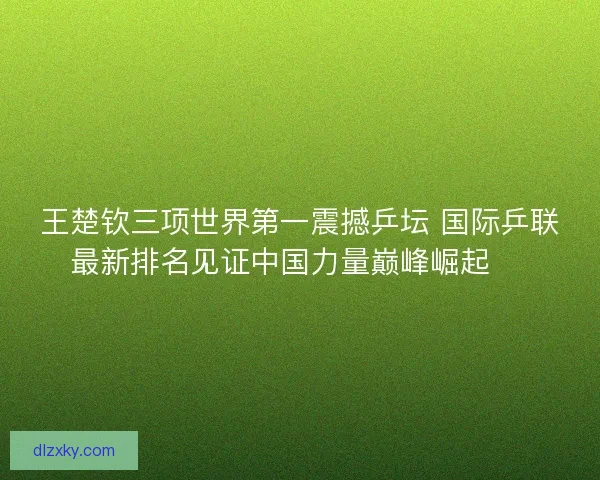 王楚钦三项世界第一震撼乒坛 国际乒联最新排名见证中国力量巅峰崛起 🏓